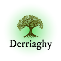 Derriaghy Local History & Genealogy